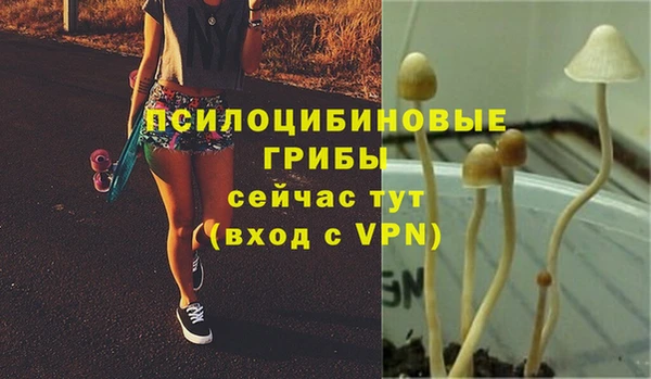 гидра Алзамай