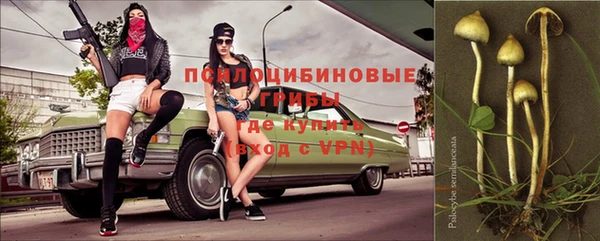 гидра Алзамай