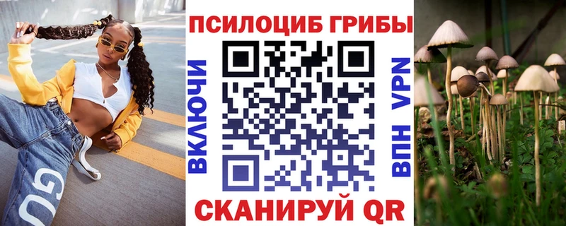Псилоцибиновые грибы Cubensis  где продают наркотики  Углич 